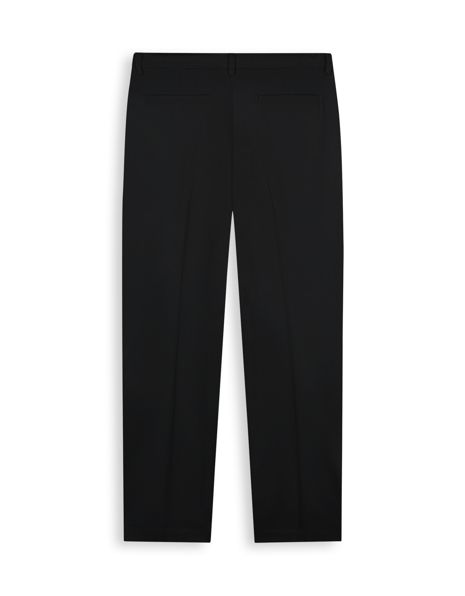 Pure Path Pleated twill pants