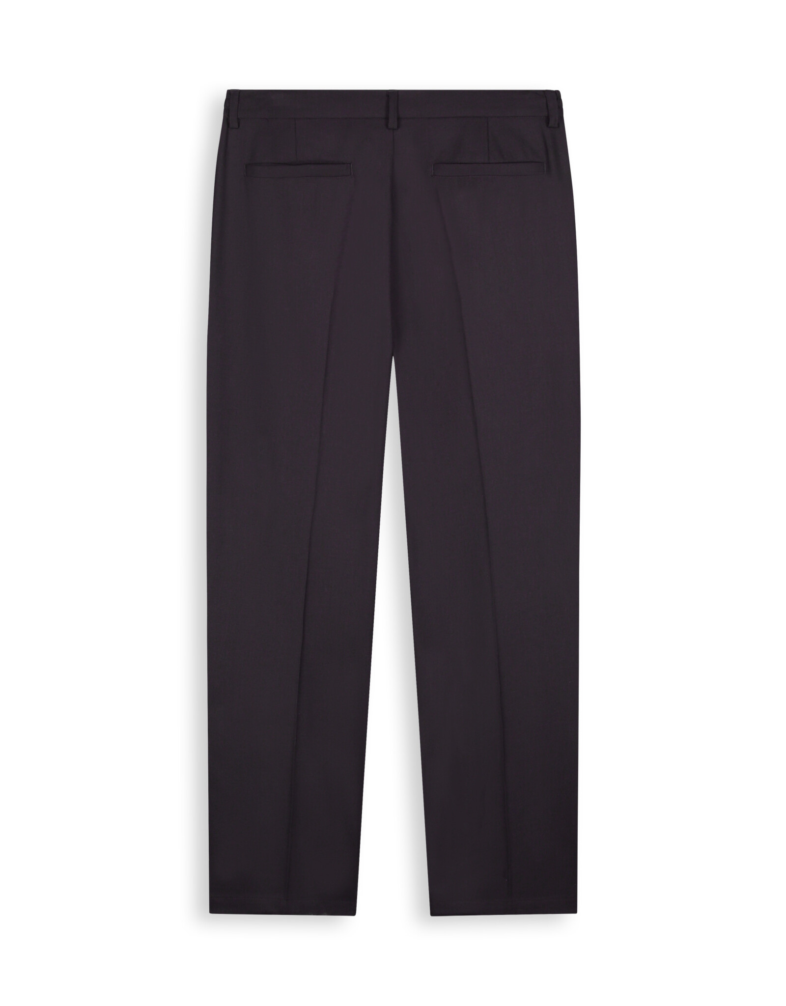 Pure Path Pleated twill pants