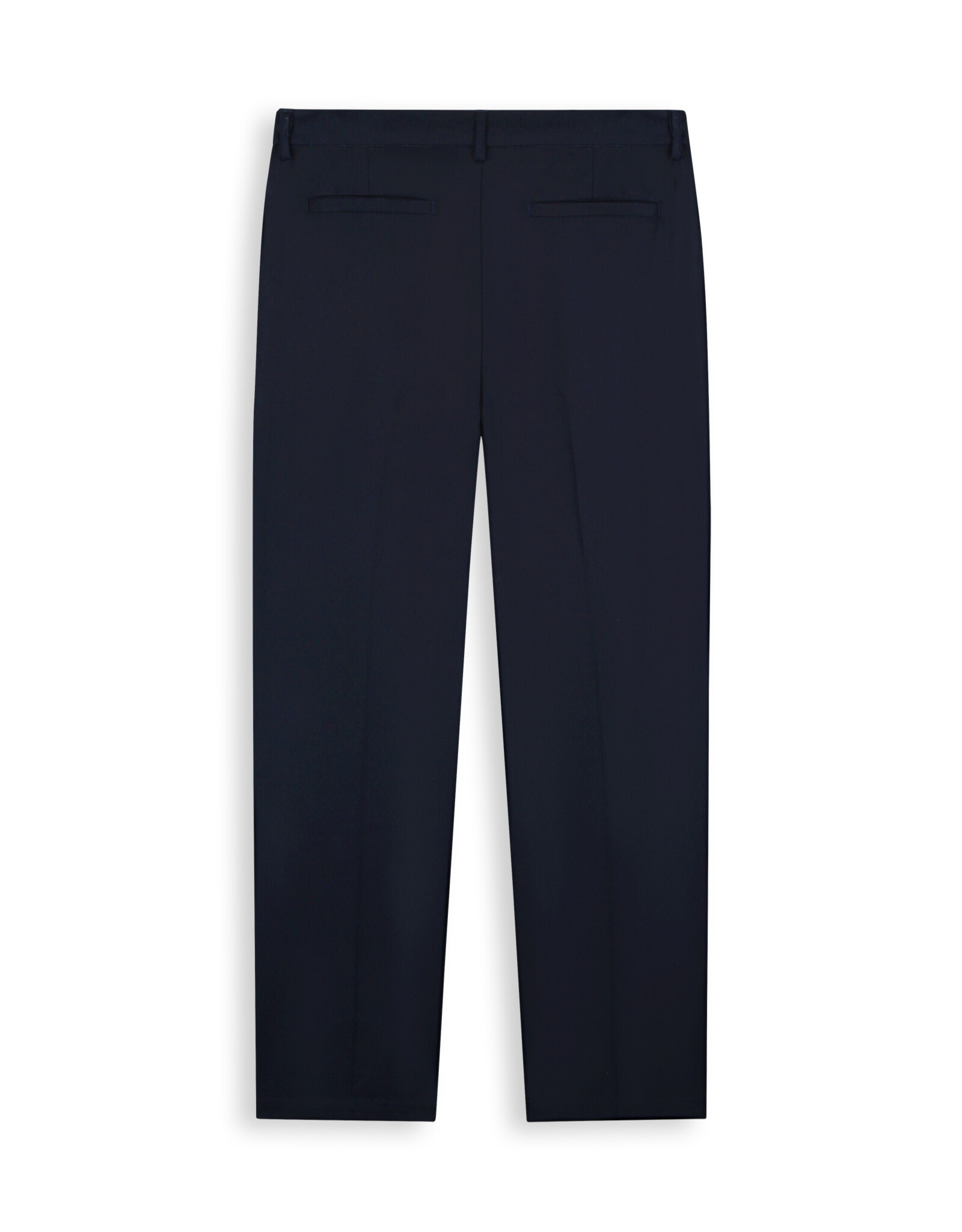 Pure Path Pleated twill pants