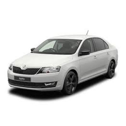 Bestellen Sie hier SKODA Rapid Dachträger