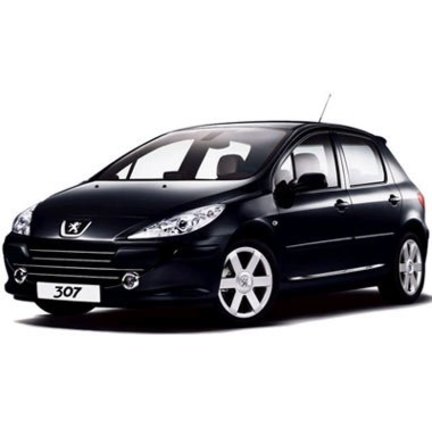 PEUGEOT 307 Dachträger online bestellen