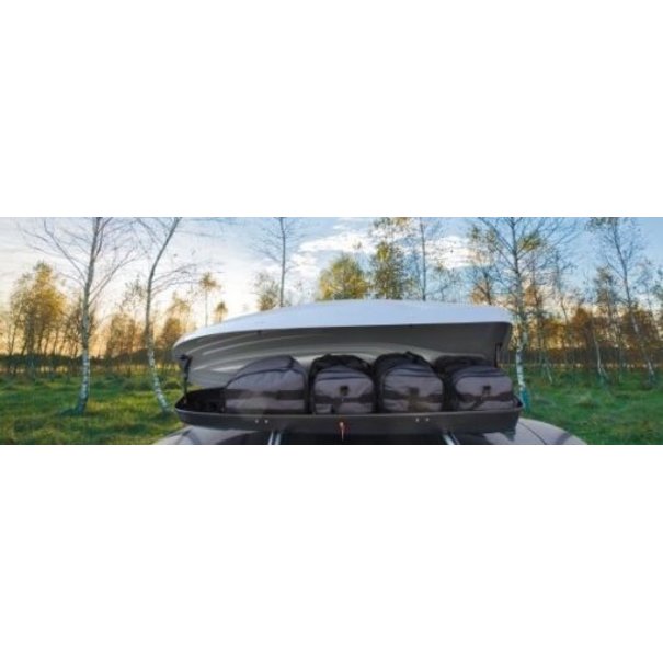 Pro-User Pro-User/Cover-It Dakkoffer Tassenset 4 stuks