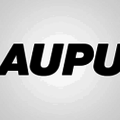 Blaupunkt Blaupunkt Remote Control 5/6/790 - Afstandsbediening