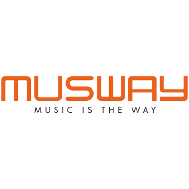 Musway Musway 2-Weg Coaxsysteem - ME-32