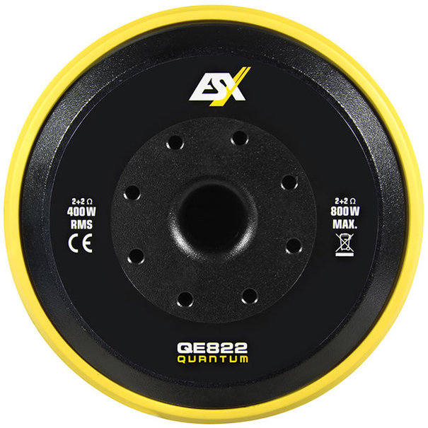 ESX ESX QE822 - Compacte subwoofer - 800 Watt - 20 cm