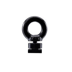 Thule Eye Bolt 320