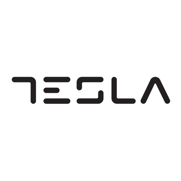Tesla Tesla TS300BWX - Broodrooster