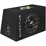 ESX QXB10 -  Basreflexsysteem - 10" - 600 Watt RMS