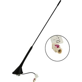 Dakantenne -  AM/FM -  60° staafneiging -  12V Phantom