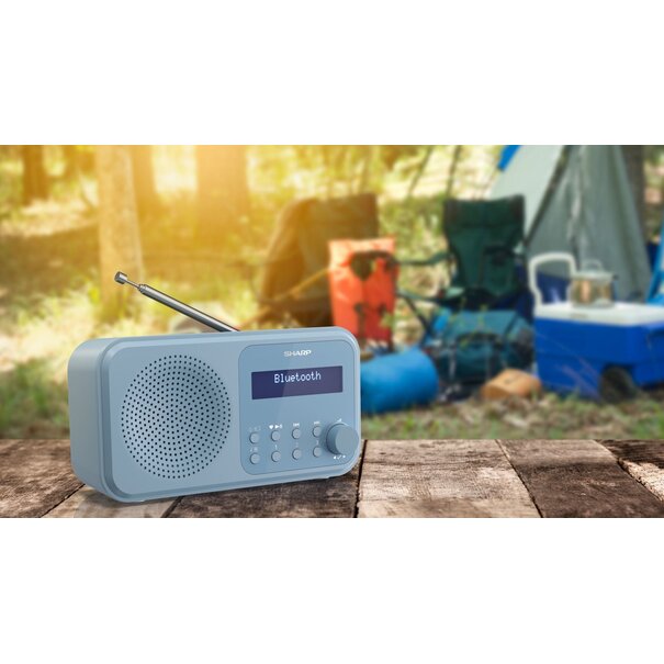 Sharp Sharp DR-P420(BL) - Draagbare radio -  Blauw