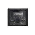 Blaupunkt Blaupunkt BPA 3022 M -  Camperradio -  DAB+ tuner -  Incl. afstandsbediening