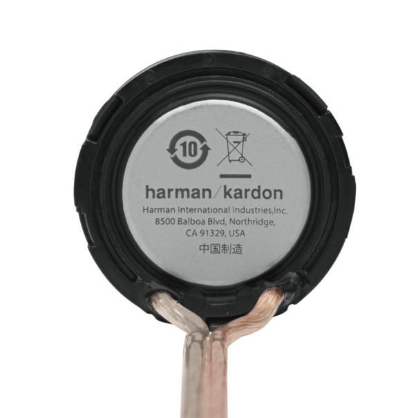 Harman/Kardon Harman/Kardon Flow 601CFS - Composet - 16,5cm / 6.5" - 2 x 120 Watt RMS