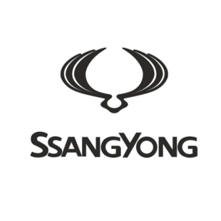 Ssang Yong Automatten