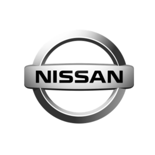 Nissan Zijwindschermen