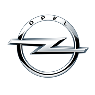 Opel Zijwindschermen