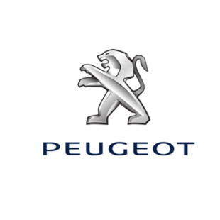 Peugeot Zijwindschermen