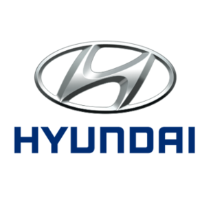Hyundai Zijwindschermen