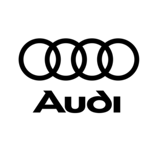 Audi Dakdragers