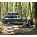 Thule Thule Force 3 S - Zwart - 300 Liter -Dakkoffer - Bagagebox