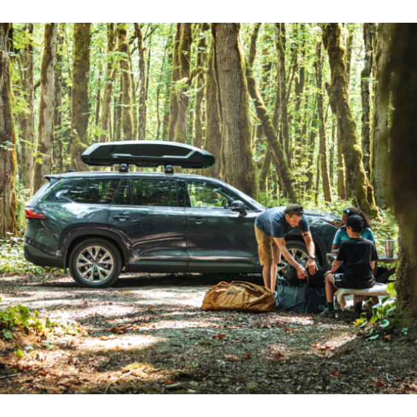 Thule Thule Force 3 S - Zwart - 300 Liter -Dakkoffer - Bagagebox