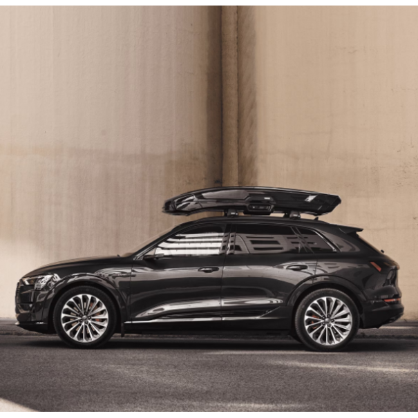 Thule Thule Vector L - Dakkoffer - 430 Liter - Zwart metallic - Geïntegreerde verlichting en vilten voering