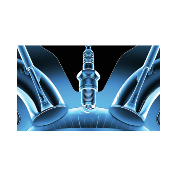 Tunap Tunap - 173 Brandstofadditief - Benzine - reinigt en beschermt het brandstofsysteem -  gelijkmatig brandstofverbruik en lagere emissiewaarden