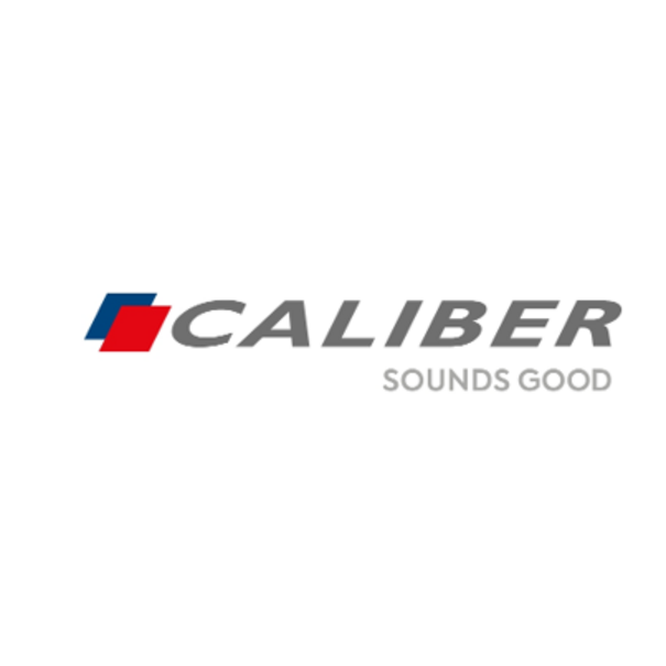 Caliber Caliber RMD910DAB-CMR Autoradio - 1 DIN - Multimedia - Touchscreen 10.1