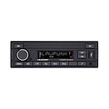 Blaupunkt Blaupunkt Nürnberg 200 DAB  BT- Autoradio - Bluetooth