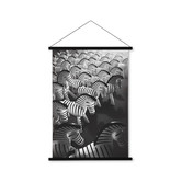Zebra photo 43 x 59