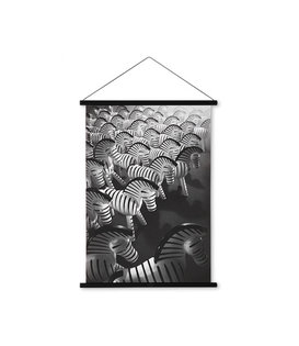 Zebra Foto Poster 43 x 59