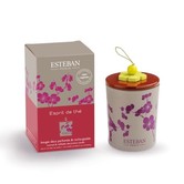 Esteban - Esprit the thé scented candle 170g