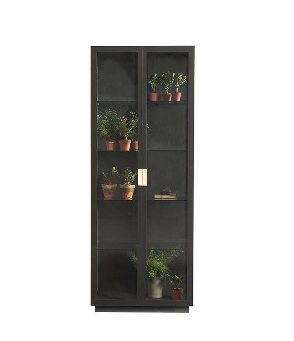 Asplund  Asplund: Frame kast XL glazen deuren H206 cm.