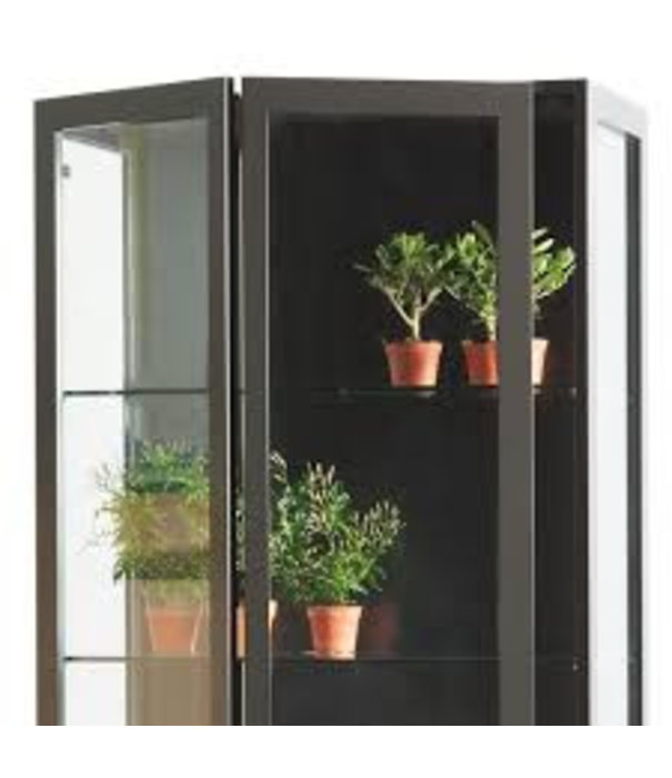 Asplund  Asplund: Frame XL cabinet glass doors H206 cm.