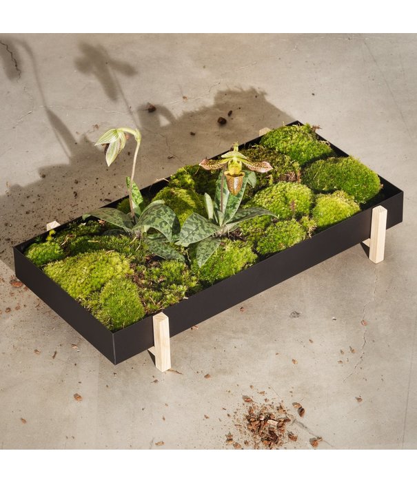 Design House Stockholm  Design House Stockholm - Botanic tray zwart / essen