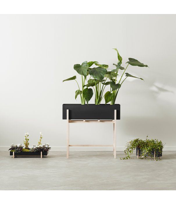 Design House Stockholm  Design House Stockholm - Botanic Stand,  black / ash