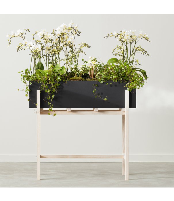 Design House Stockholm  Design House Stockholm - Botanic Stand,  black / ash