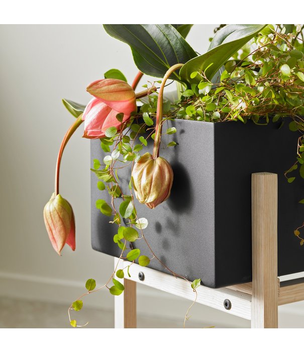 Design House Stockholm  Design House Stockholm - Botanic Stand,  black / ash