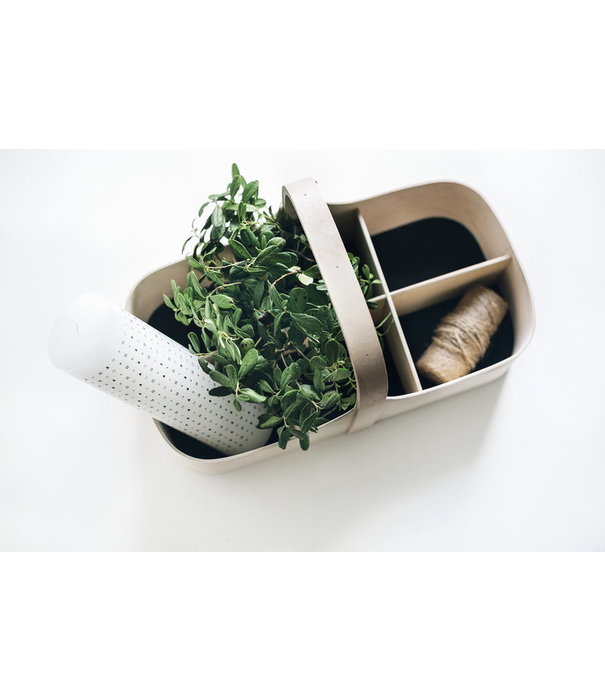 Verso Design  Koppa Tool Box