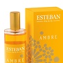 Esteban - Ambre room spray