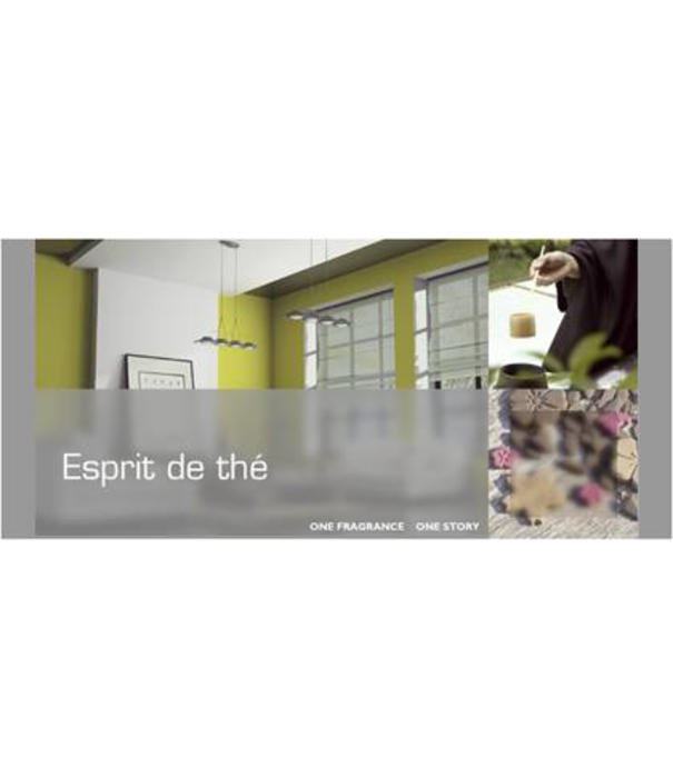 Esteban  Esteban - Esprit the thé room spray