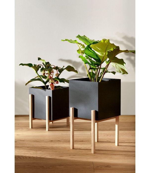 Design House Stockholm  Design House Stockholm - Botanic Pedestal Pot black / ash