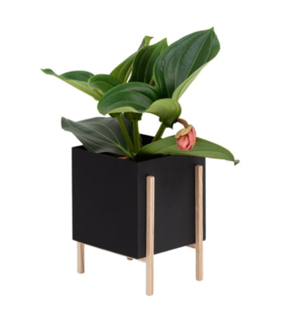 Design House Stockholm - Botanic Pot black / ash H25