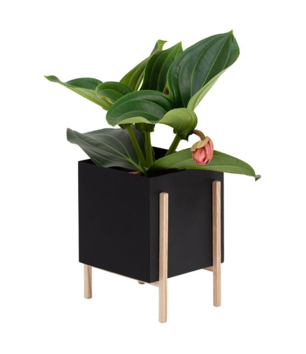 Design House Stockholm  Design House Stockholm - Botanic Pot black / ash