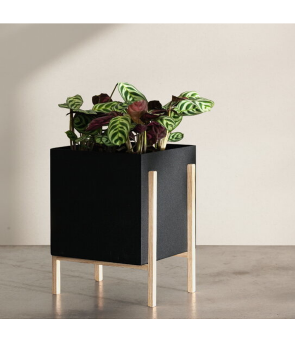 Design House Stockholm  Design House Stockholm - Botanic Pot zwart / essen