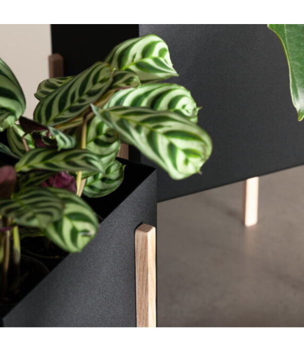 Design House Stockholm  Design House Stockholm - Botanic Pot black / ash