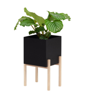 Design House Stockholm - Botanic Pedestal Pot,  zwart / essen H40