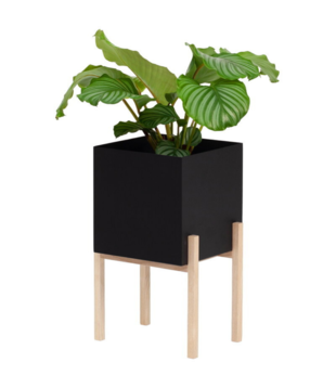 Design House Stockholm - Botanic Pedestal Pot,  black / ash H40