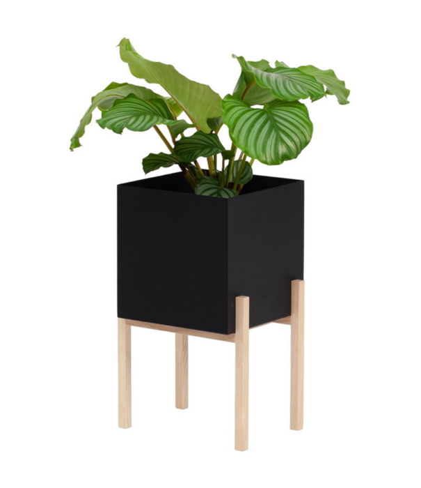 Design House Stockholm  Design House Stockholm - Botanic Pedestal Pot black / ash