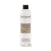 Esteban - Esprit the thé refill flacon