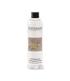 Esteban - Esprit the thé refill flacon